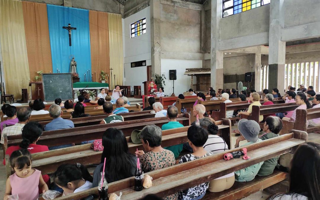 BARANGAY POWER ASSOCIATION (BAPA) STRENGTHENING AND INFORMATION EDUCATION CAMPAIGN (IEC) ACTIVITIES FOR DISTRICT VII