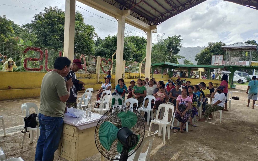 BARANGAY POWER ASSOCIATION (BAPA) STRENGTHENING ACTIVITIES