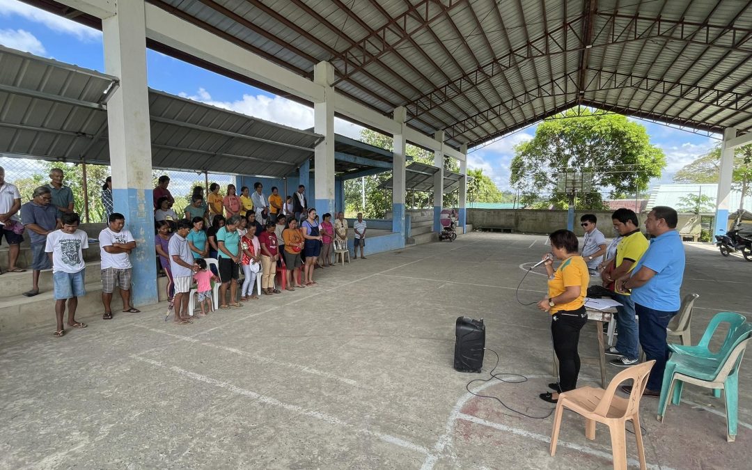 BARANGAY POWER ASSOCIATION (BAPA) STRENGTHENING AND INFORMATION EDUCATION CAMPAIGN (IEC) ACTIVITIES FOR DISTRICT IX