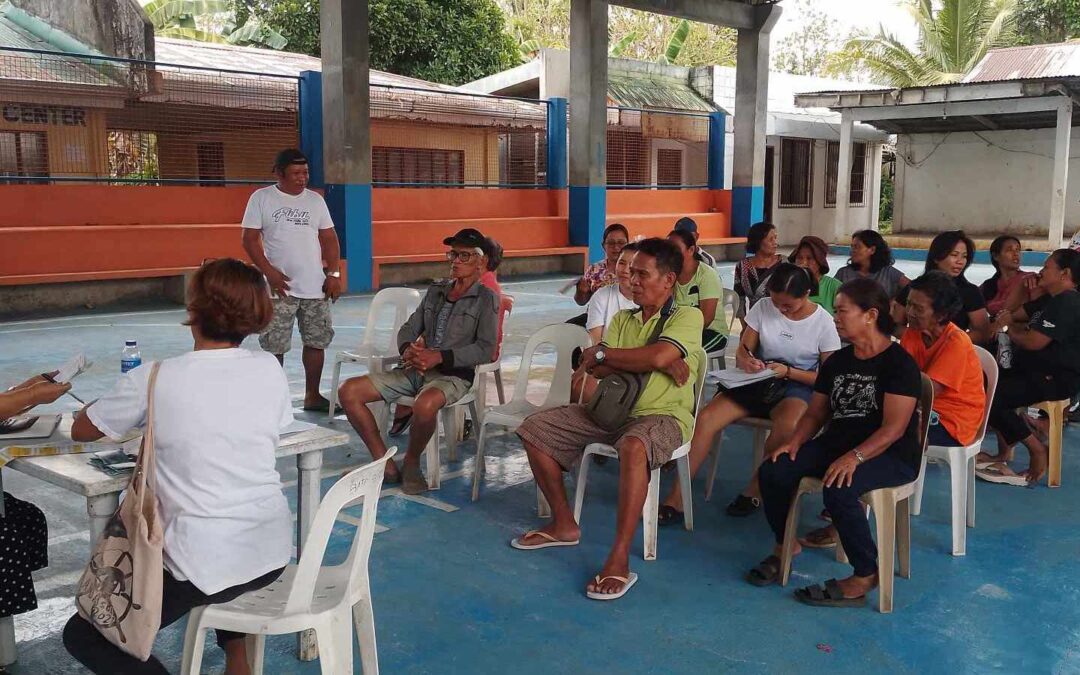 BARANGAY POWER ASSOCIATION (BAPA) STRENGTHENING ACTIVITIES