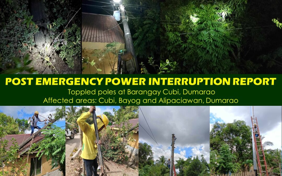 POST EMERGENCY POWER INTERRUPTION REPORT