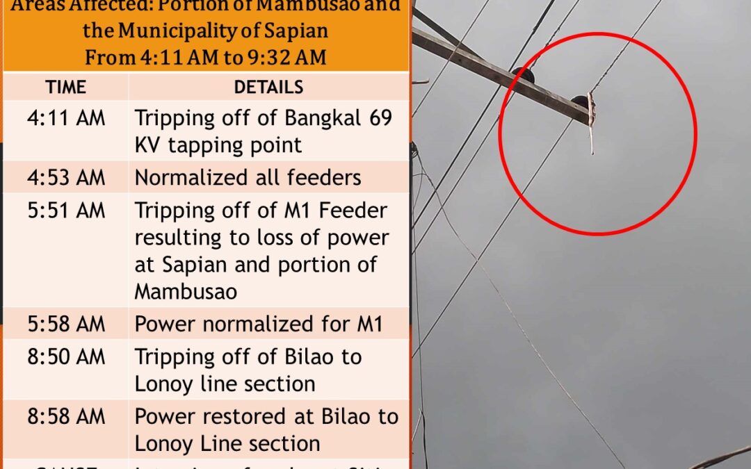 POST EMERGENCY POWER INTERRUPTION REPORT