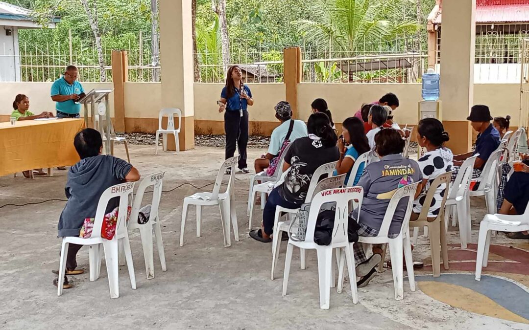 BARANGAY POWER ASSOCIATION (BAPA) STRENGTHENING ACTIVITIES