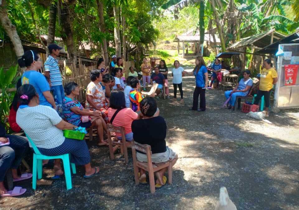 BARANGAY POWER ASSOCIATION (BAPA) STRENGTHENING ACTIVITIES