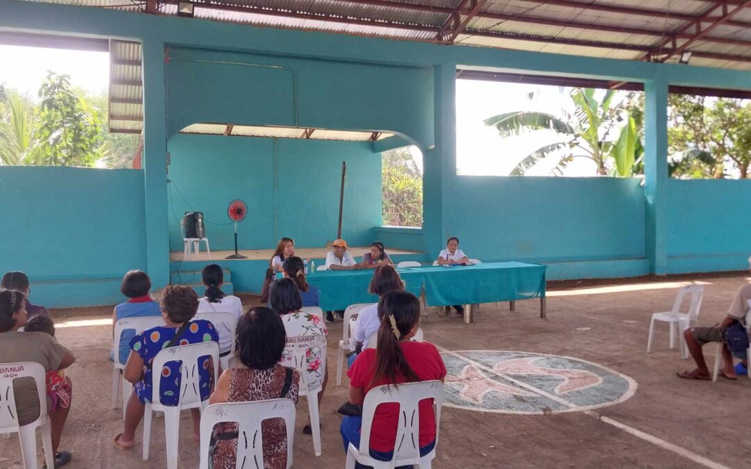 BARANGAY POWER ASSOCIATION (BAPA) STRENGTHENING ACTIVITIES