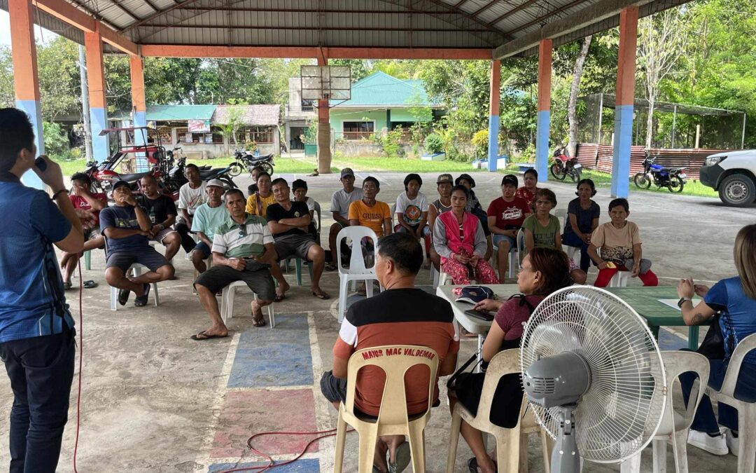 BARANGAY POWER ASSOCIATION (BAPA) STRENGTHENING ACTIVITIES