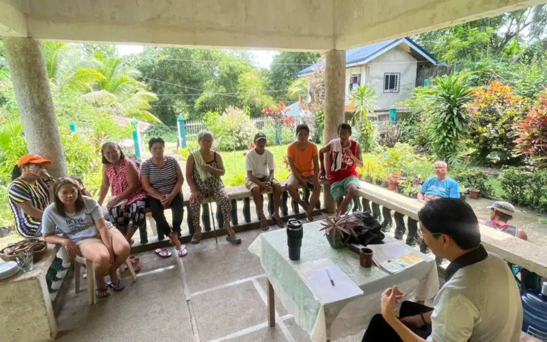 BARANGAY POWER ASSOCIATION (BAPA) STRENGTHENING ACTIVITIES