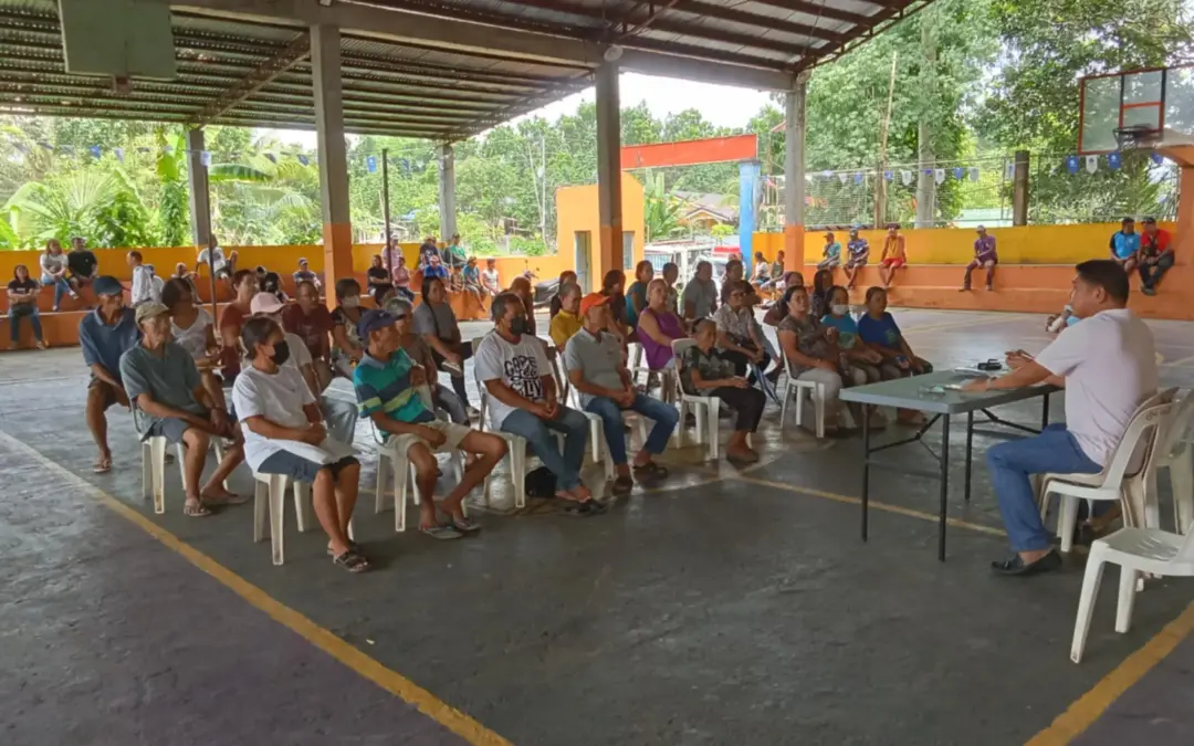 BARANGAY POWER ASSOCIATION (BAPA) STRENGTHENING ACTIVITIES