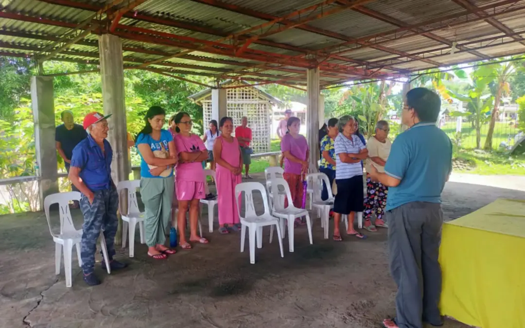 BARANGAY POWER ASSOCIATION (BAPA) STRENGTHENING ACTIVITIES