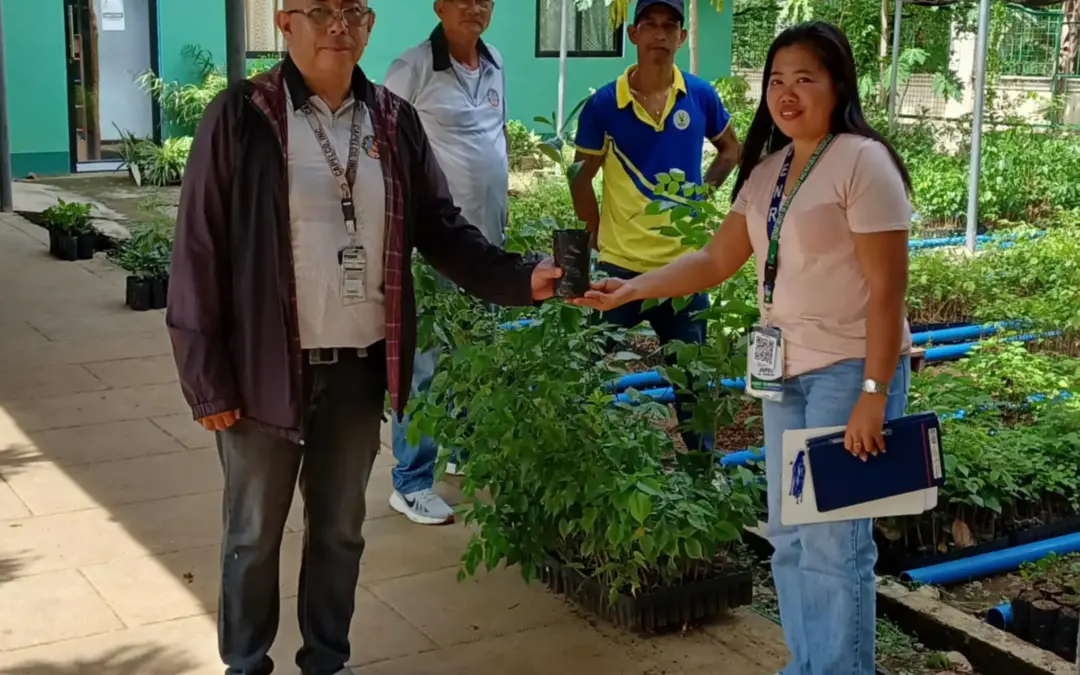 CAPELCO ACCESSED PLANTING MATERIALS FROM DENR