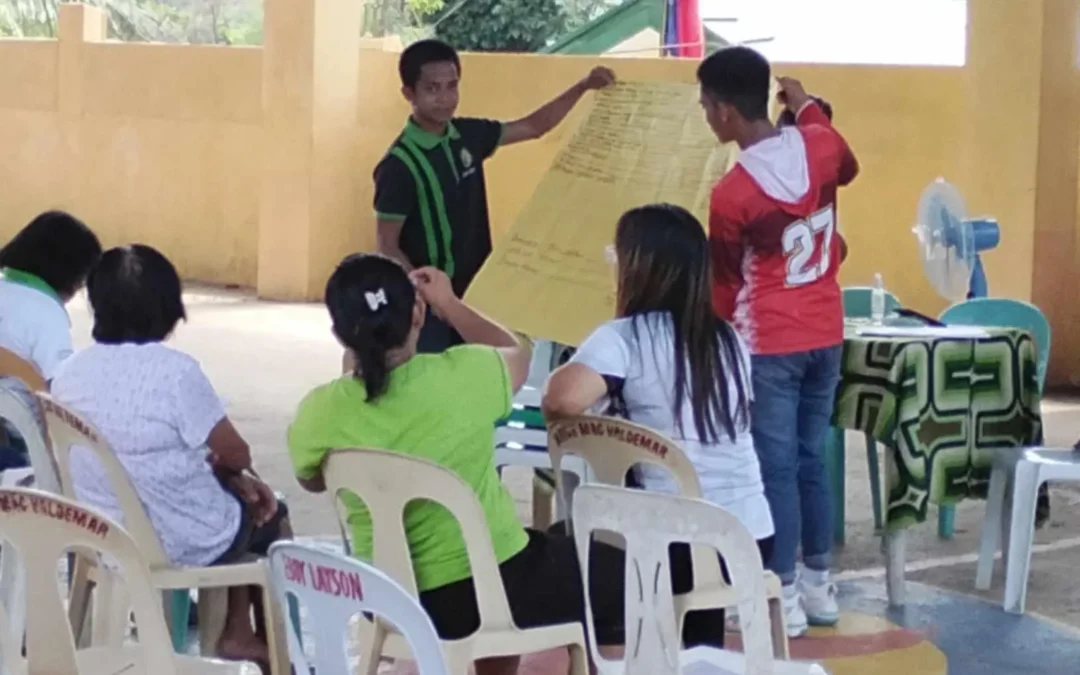 BARANGAY POWER ASSOCIATION (BAPA) STRENGTHENING ACTIVITIES